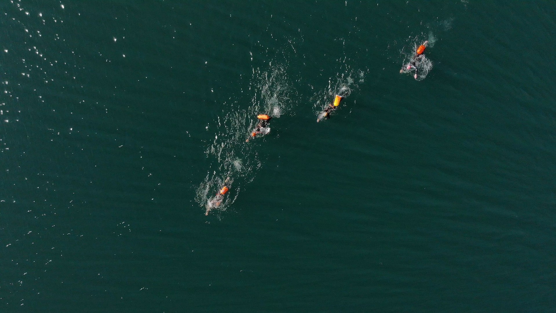 open water swimmers in Queenstown NZ viewed from above