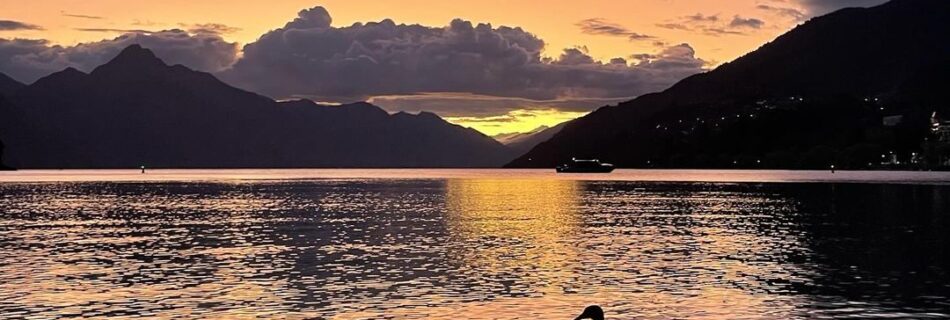 The sun rise is purple and yellow over Lake Whakatipu in New Zealand, the mountains in the background and a duck in the foreground are silhouettes